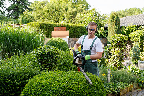 Best Organic Lawn Care Solutions  in Montrose, NY